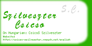 szilveszter csicso business card