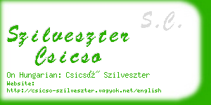 szilveszter csicso business card